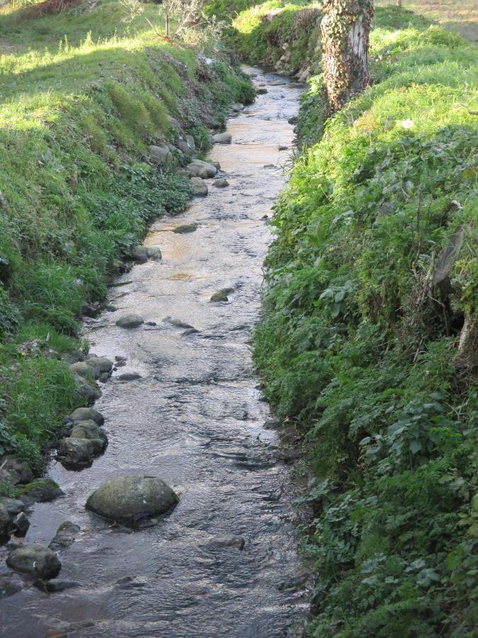 Podere Pian Dei Gelsi โวลแตร์รา ภายนอก รูปภาพ