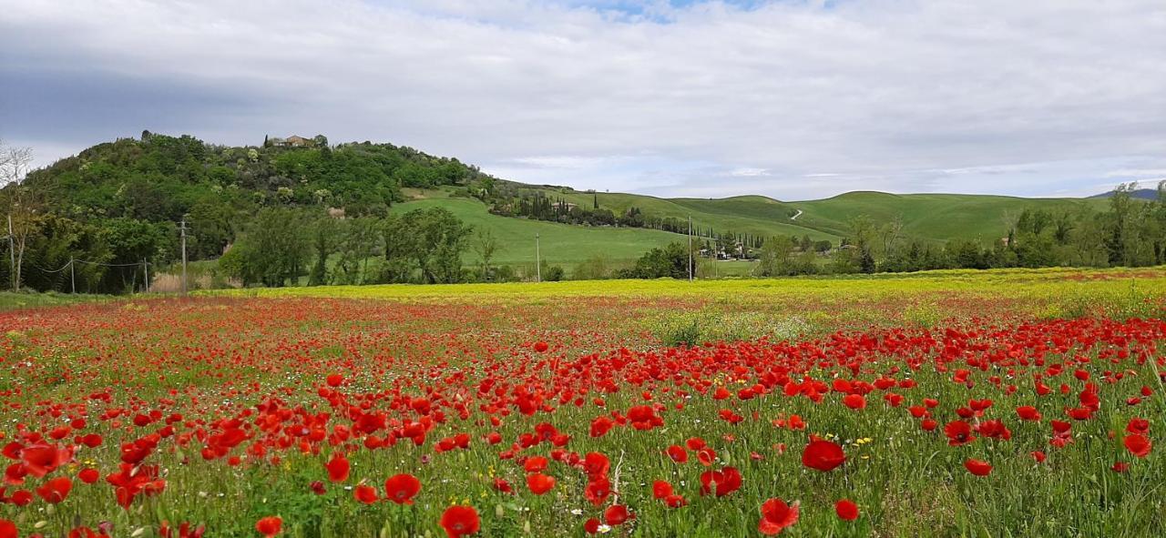 Podere Pian Dei Gelsi โวลแตร์รา ภายนอก รูปภาพ