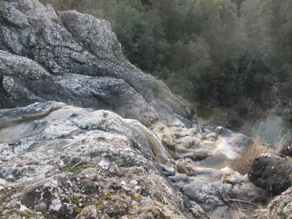 Podere Pian Dei Gelsi โวลแตร์รา ภายนอก รูปภาพ