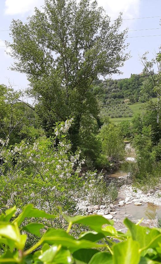 Podere Pian Dei Gelsi โวลแตร์รา ภายนอก รูปภาพ
