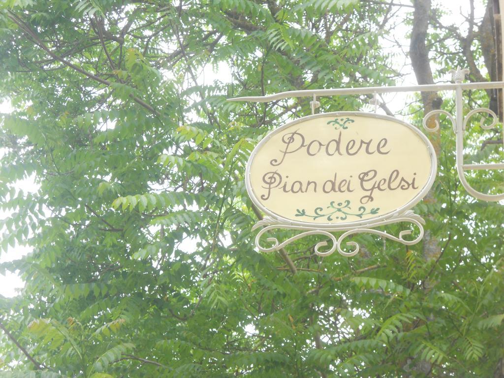 Podere Pian Dei Gelsi โวลแตร์รา ภายนอก รูปภาพ