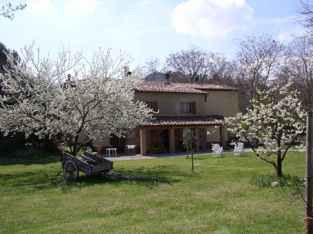 Podere Pian Dei Gelsi โวลแตร์รา ภายนอก รูปภาพ